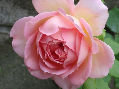 84D5835B-926E-4B3B-BE97-EA662400BAF2