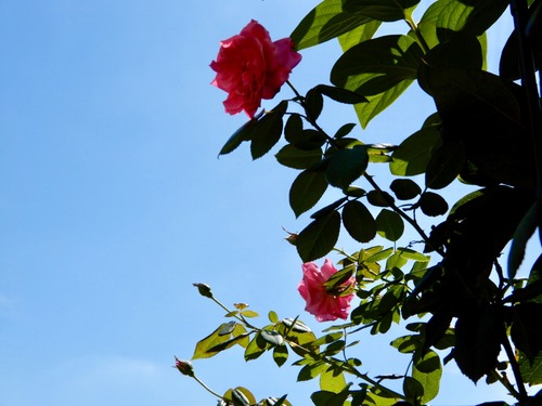 D218C3E0-274F-4F70-96BF-7A53A9AF7A39