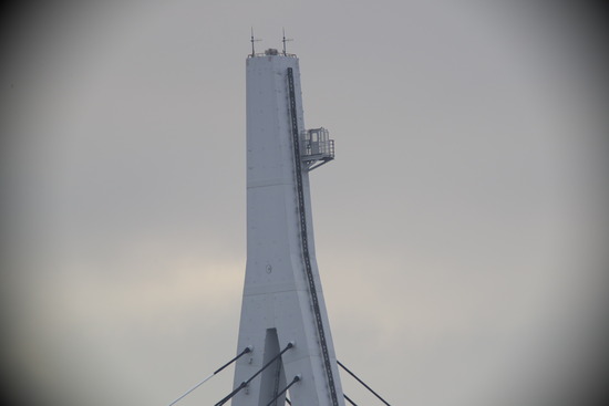 DSC_1312