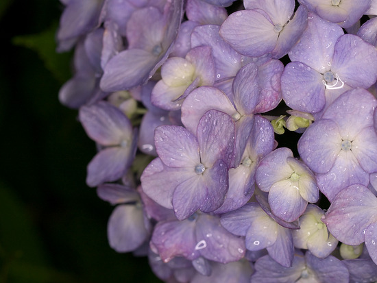 P6107977