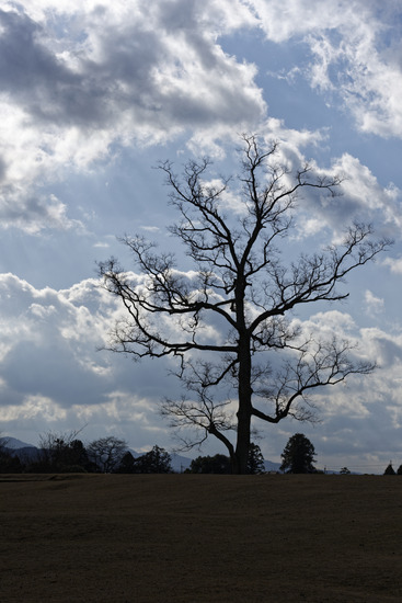 _DSC1552_DxO