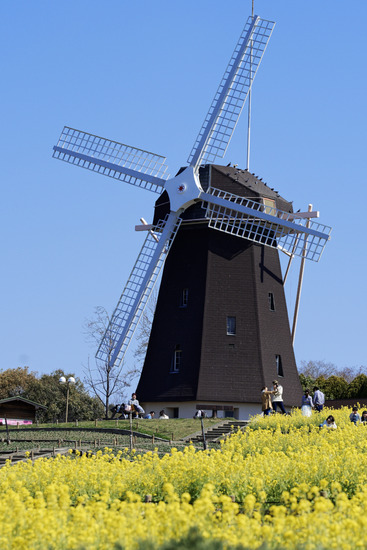 _DSC2087_DxO