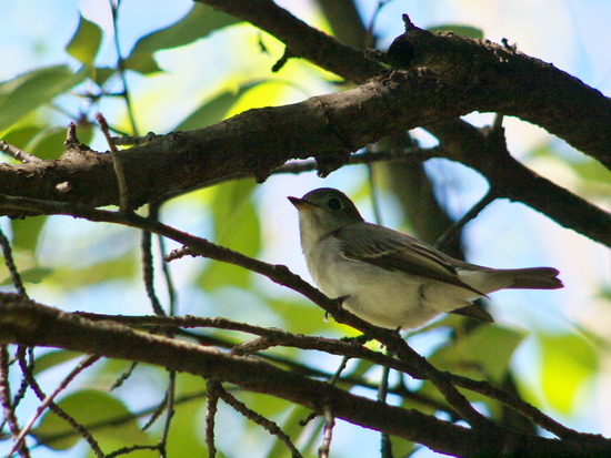 P9230015