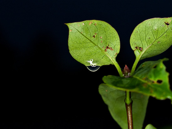 P6107961
