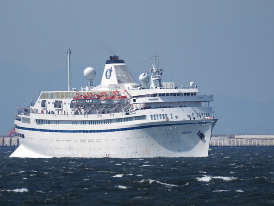 43E54262