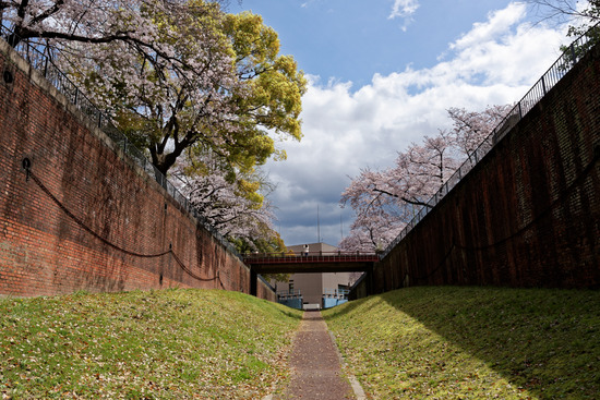 _DSC0197_DxO