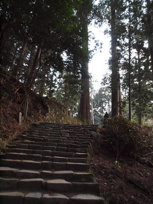 P2112582