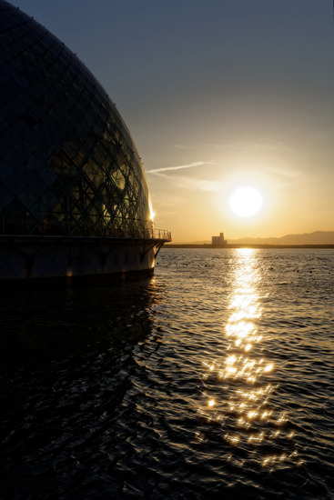 _DSC4955_DxO