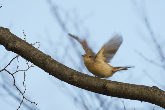 _DSC3185_DxO