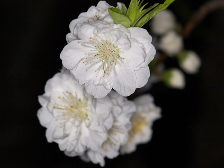 P3122353