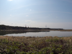 P3295627