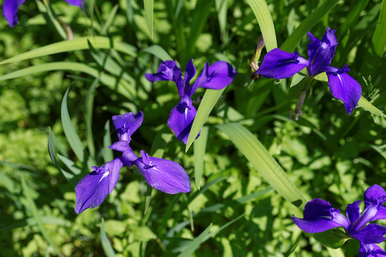 _DSC0397_DxO