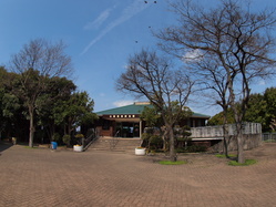 P3295684