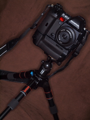 P3315859