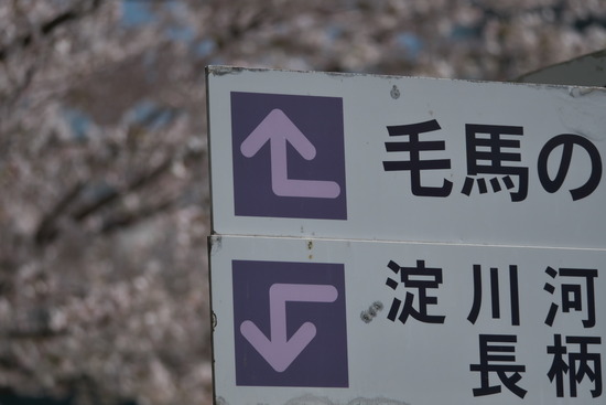 slk_36