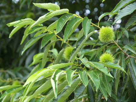 P8013749