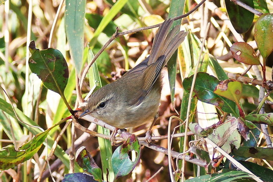 DSC01404