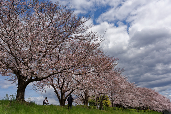 _DSC0251_DxO-1