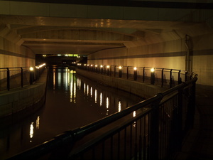 267,1200090217