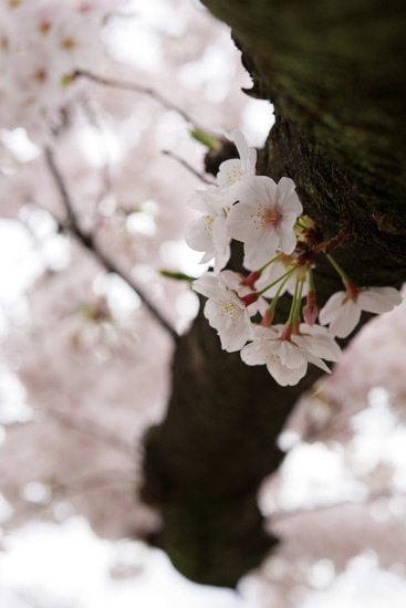 _DSC0310_DxO
