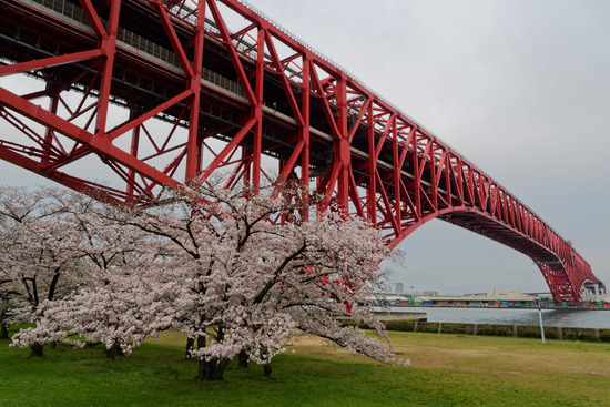 _DSC2229_DxO
