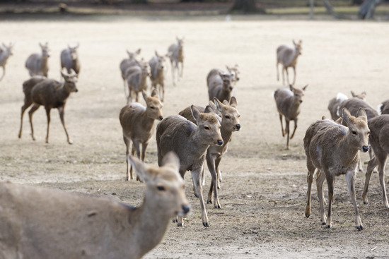 _DSC1587_DxO