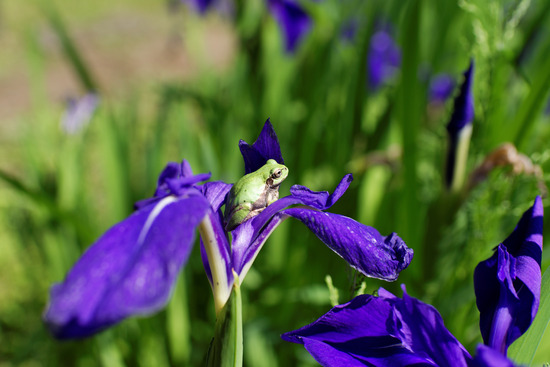 _DSC0401_DxO