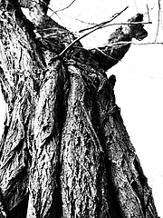 P1041031