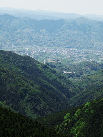 P5087353
