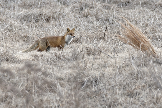 _DSC0022_DxO