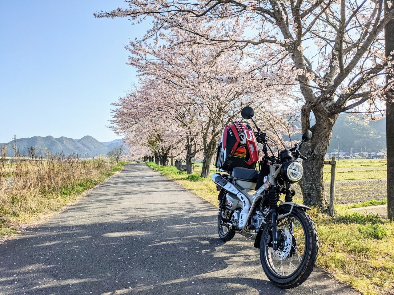 忖度なし ハンターカブ 初乗りレビューなど : kazuの田舎ガレージ