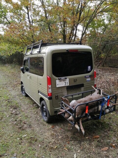 N Vanに一年乗った感想 狩猟編 Offroad Hunterの日記