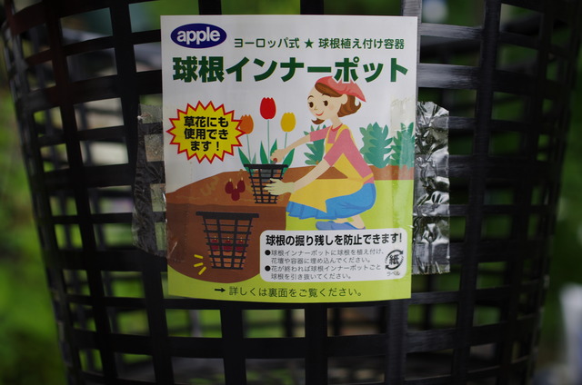 正面の写真