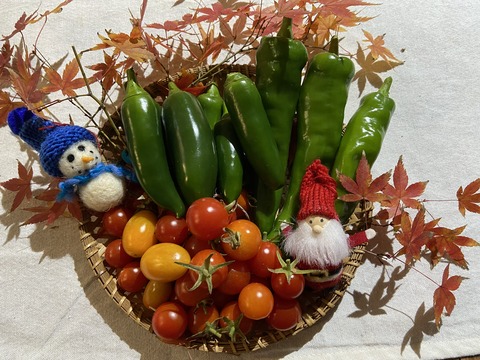 12月ブログ写真