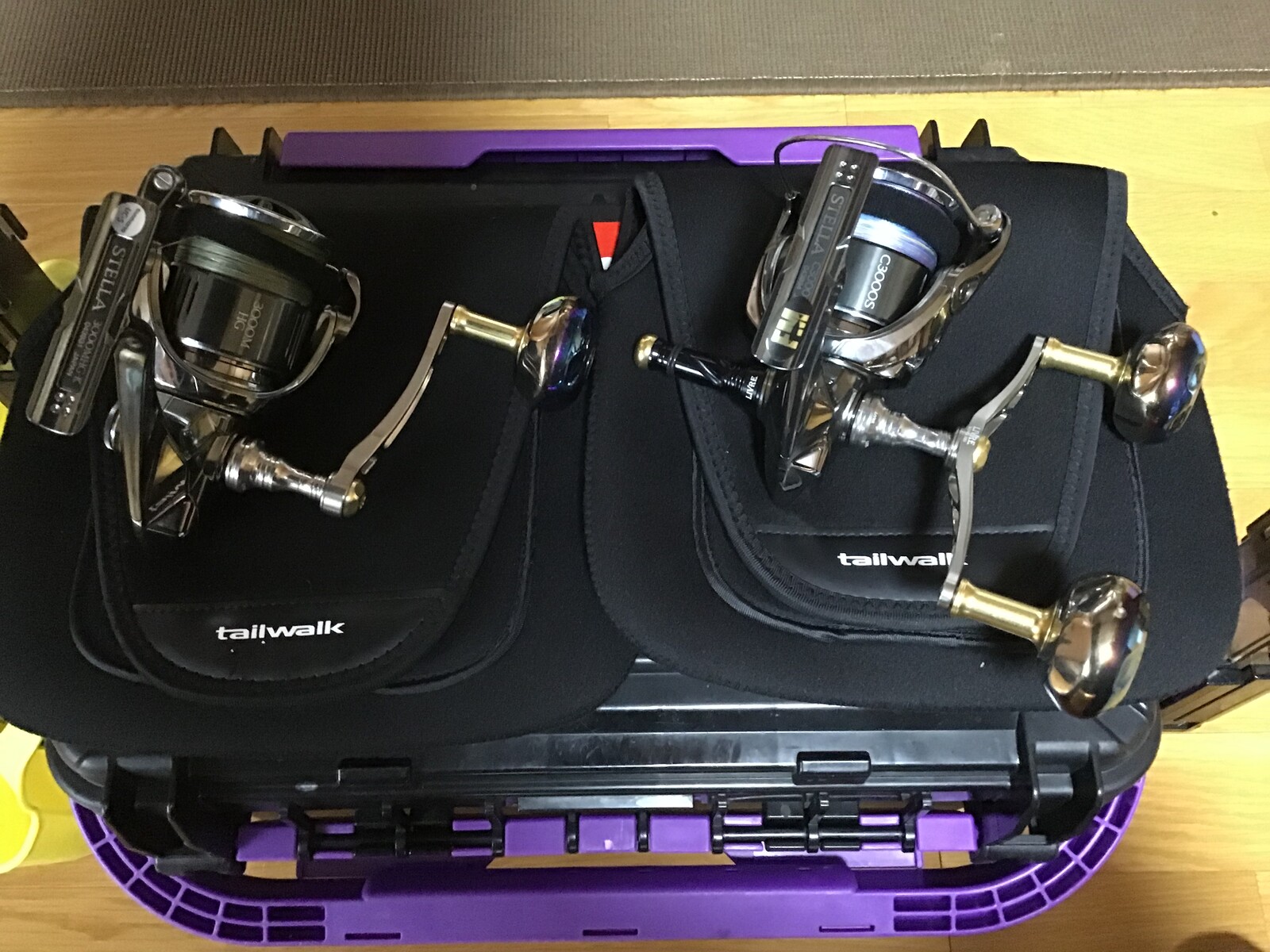 22ステラ インプレ : FP志摩公式blog