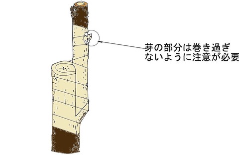 てーぷ_000001