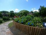 GOPR0608