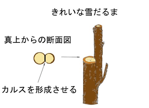完成図_000001