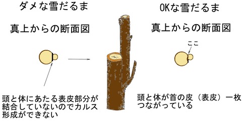 だめだるま_000001