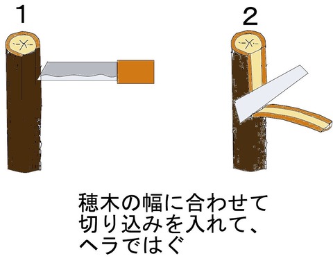 はぎつぎ_000001