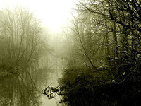 448223104_29e47bd542_m