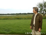 小泉さん12