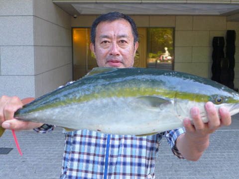 hamachi