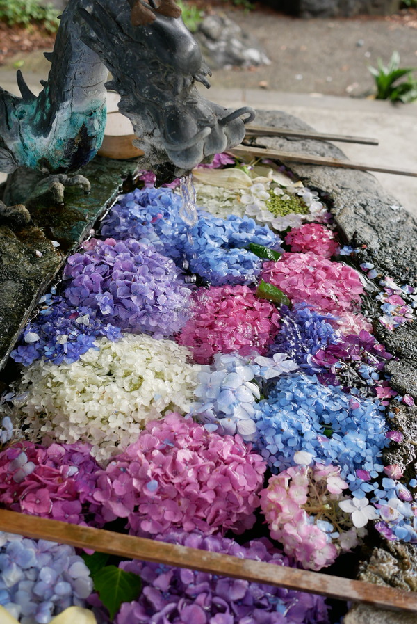岐阜市にある若江神社の花手水舎 心洗われる やまさんがくる 岐阜市にある若江神社の花手水舎 心洗われる やまさんがくる