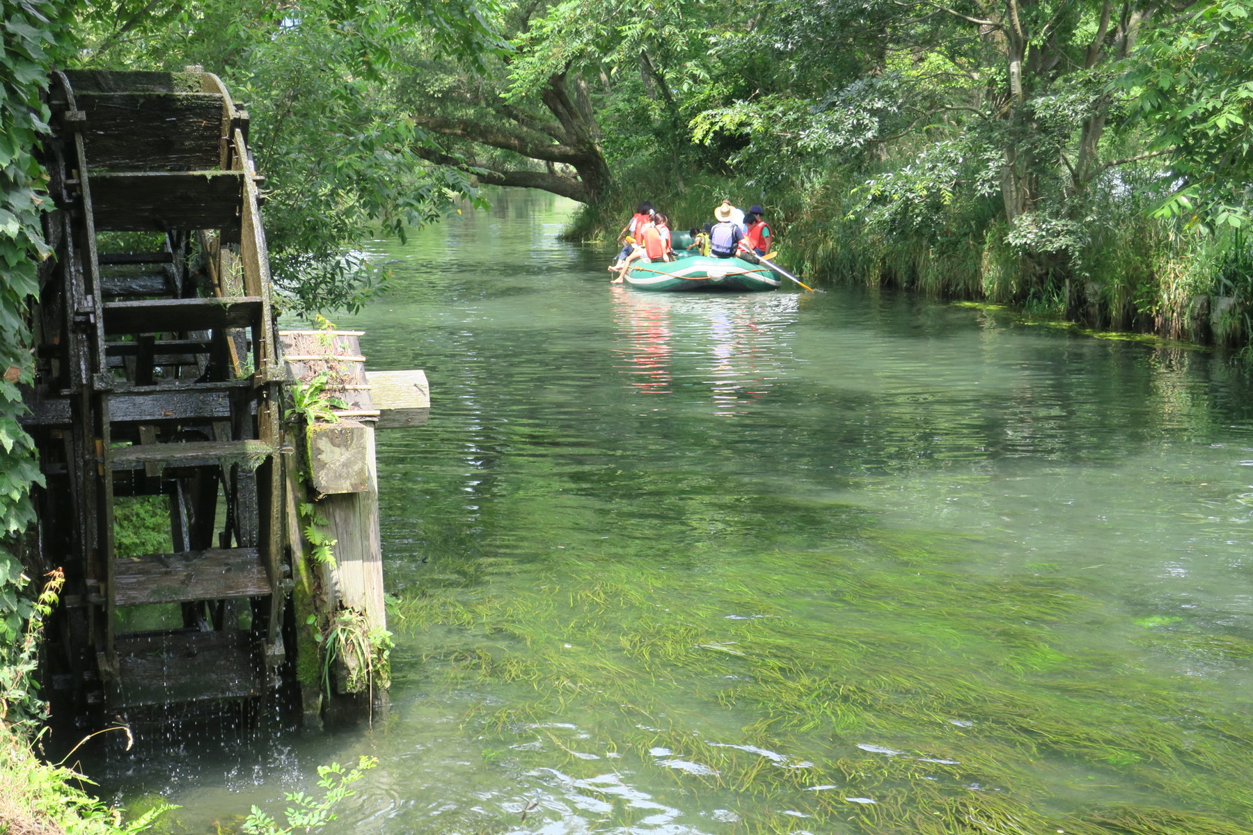 澄み切った水が美しすぎる 大王わさび農場 長野県安曇野市 やまさんがくる