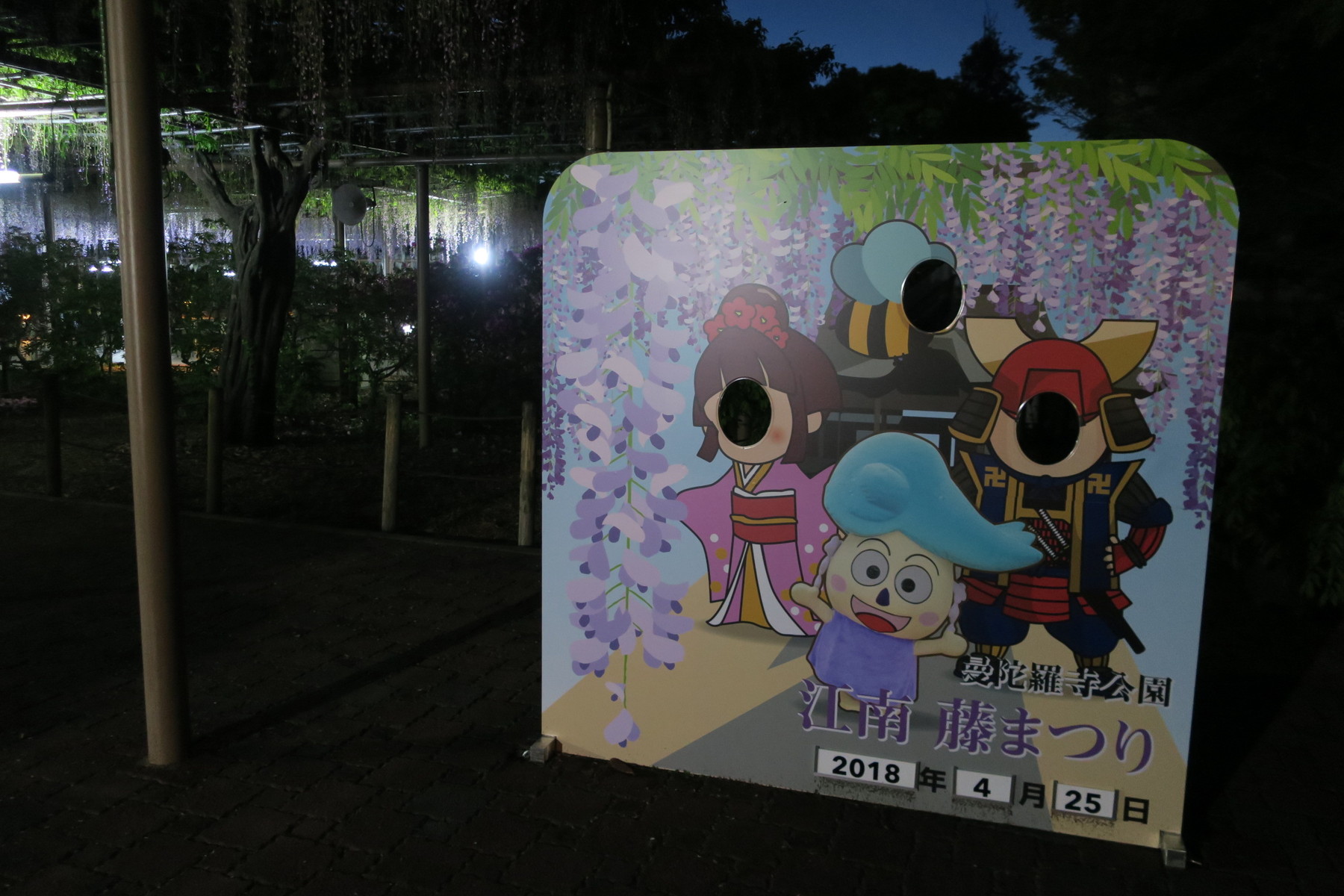 江南藤まつりのライトアップを見てきた 曼陀羅寺公園 やまさんがくる 江南藤まつりのライトアップを見てきた 曼陀羅寺公園 やまさんがくる