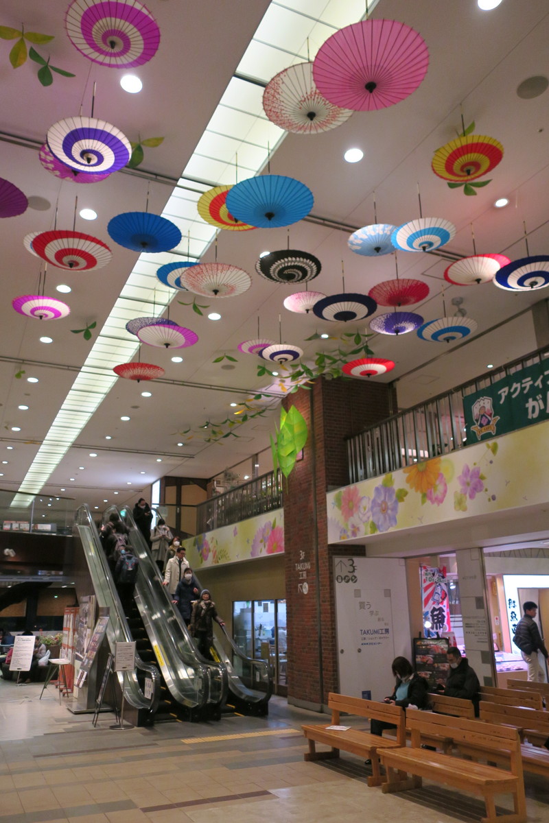 アクティブgに 岐阜和傘が咲きました やまさんがくる