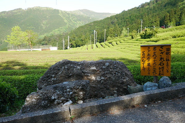 にゃんこ大戦争 大量の敵注意 未来編第１章 マチュピチュ攻略 イチから始める にゃんこ大戦争攻略ブログ
