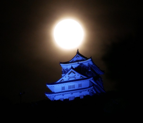 11月14日は世界糖尿病デー 岐阜城もブルーライトアップ 11月17日まで やまさんがくる 11月14日は世界糖尿病デー 岐阜城もブルーライトアップ 11月17日まで やまさんがくる