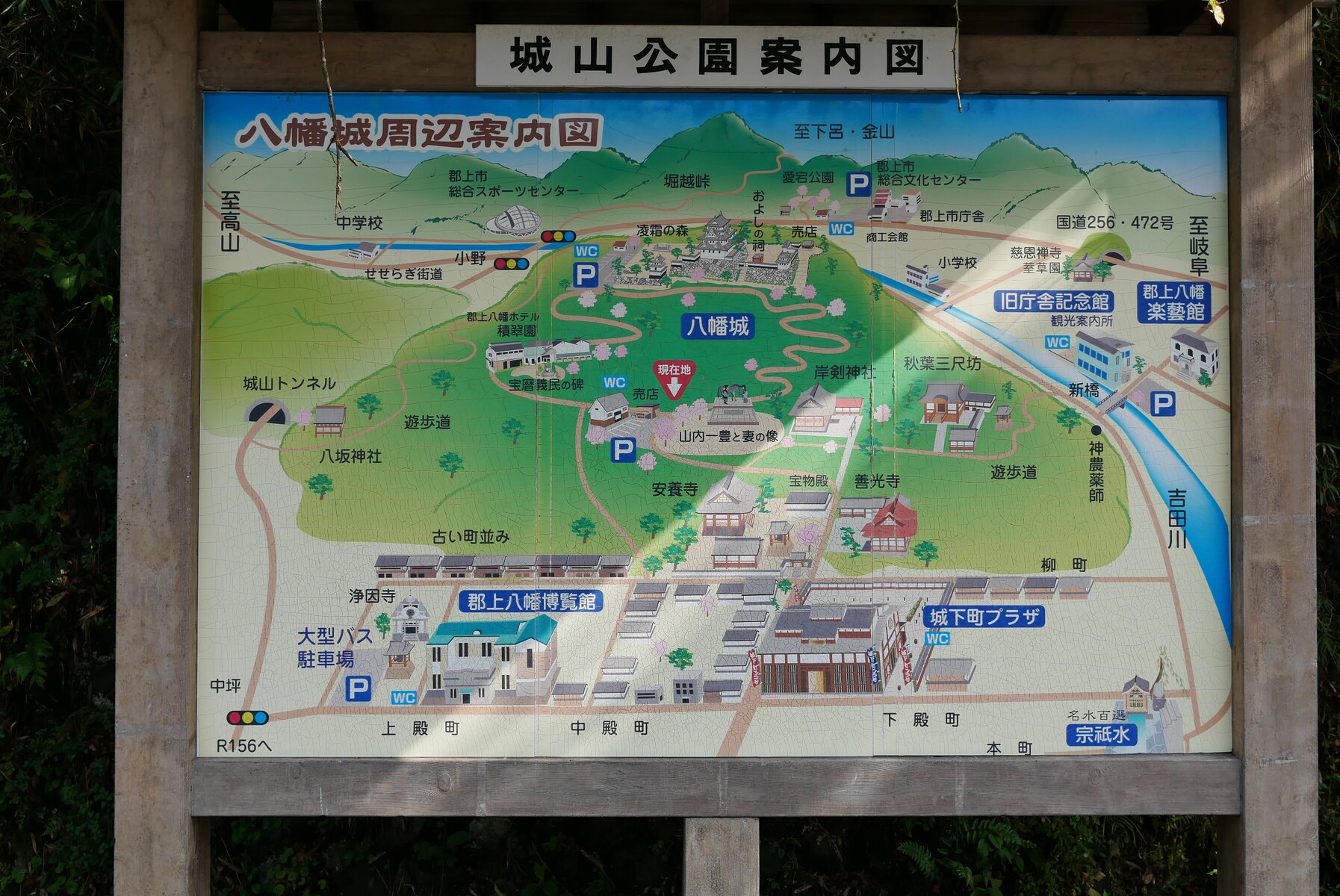 天守炎上 郡上八幡城の紅葉 11月18日までライトアップ やまさんがくる